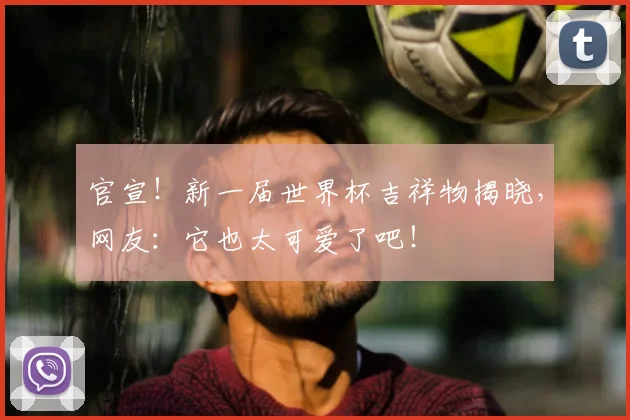 官宣！新一届世界杯吉祥物揭晓，网友：它也太可爱了吧！